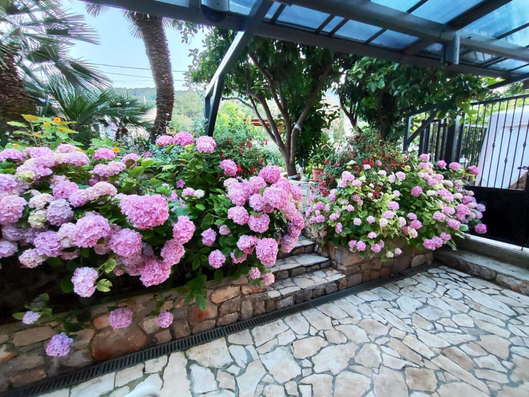 Vacation House Orange เวลิโลชิน ภายนอก รูปภาพ
